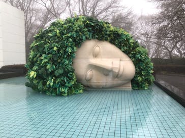 彫刻の森美術館に投稿された画像（2022/1/11）
