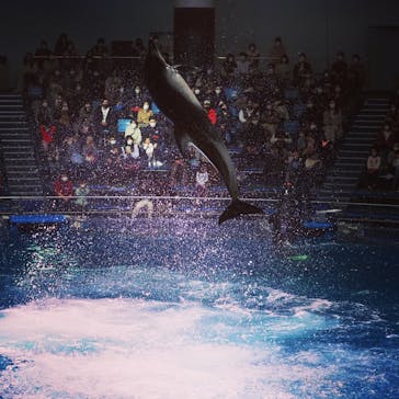 マクセル アクアパーク品川に投稿された画像（2022/1/12）