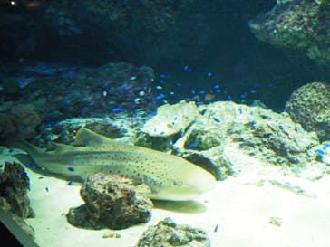 マクセル アクアパーク品川に投稿された画像（2022/1/12）