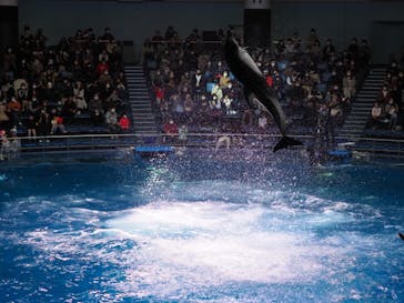 マクセル アクアパーク品川に投稿された画像（2022/1/12）