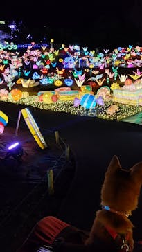 伊豆ぐらんぱる公園に投稿された画像（2022/1/12）