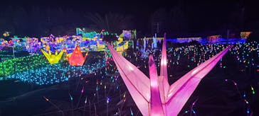 伊豆ぐらんぱる公園に投稿された画像（2022/1/12）