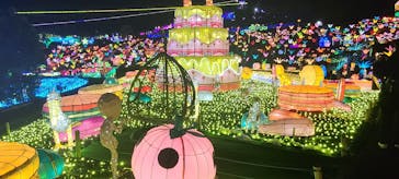 伊豆ぐらんぱる公園に投稿された画像（2022/1/12）