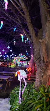 伊豆ぐらんぱる公園に投稿された画像（2022/1/12）