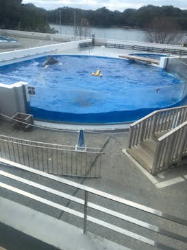 九十九島水族館海きららに投稿された画像（2022/1/12）