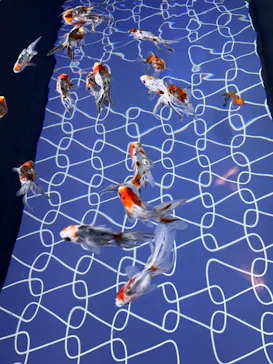 すみだ水族館に投稿された画像（2022/1/12）