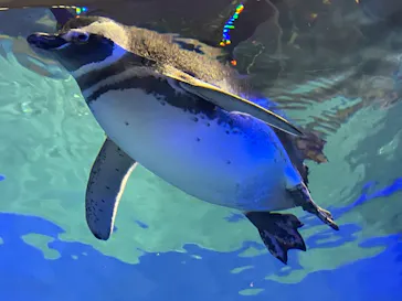 すみだ水族館に投稿された画像（2022/1/12）