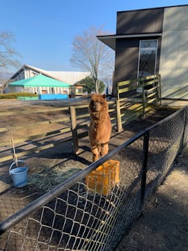 阿蘇カドリー・ドミニオンに投稿された画像（2022/1/11）