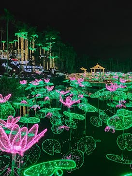 美らヤシパークオキナワ・東南植物楽園に投稿された画像（2022/1/12）