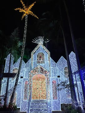 美らヤシパークオキナワ・東南植物楽園に投稿された画像（2022/1/12）