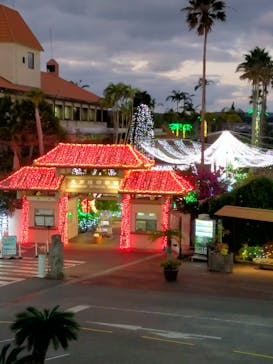 美らヤシパークオキナワ・東南植物楽園に投稿された画像（2022/1/12）