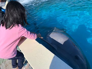 南知多ビーチランド＆南知多おもちゃ王国に投稿された画像（2022/1/10）