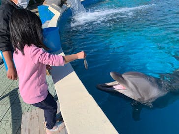 南知多ビーチランド＆南知多おもちゃ王国に投稿された画像（2022/1/10）