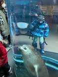 旭川市旭山動物園に投稿された画像（2022/1/12）