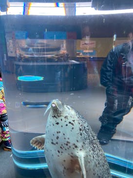 旭川市旭山動物園に投稿された画像（2022/1/12）