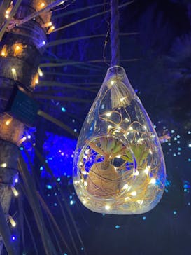 江の島シーキャンドルに投稿された画像（2022/1/12）