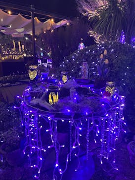 江の島シーキャンドルに投稿された画像（2022/1/12）