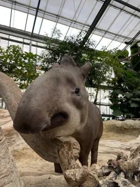 神戸どうぶつ王国に投稿された画像（2022/1/12）