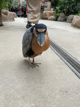 神戸どうぶつ王国に投稿された画像（2022/1/12）