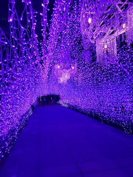 江の島シーキャンドルに投稿された画像（2022/1/12）