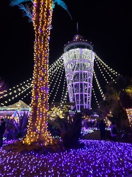 江の島シーキャンドルに投稿された画像（2022/1/12）