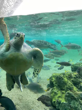 横浜・八景島シーパラダイスに投稿された画像（2022/1/12）