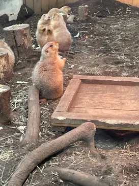 横浜・八景島シーパラダイスに投稿された画像（2022/1/12）