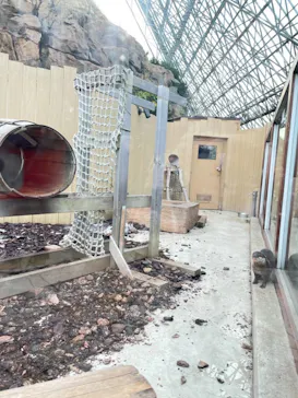 横浜・八景島シーパラダイスに投稿された画像（2022/1/12）