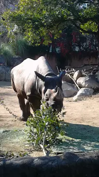 天王寺動物園に投稿された画像（2022/1/13）