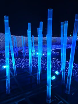 東京メガイルミに投稿された画像（2022/1/13）