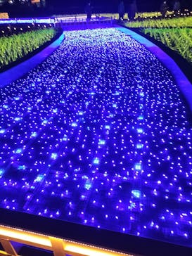 東京メガイルミに投稿された画像（2022/1/13）