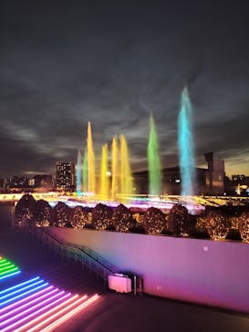 東京メガイルミに投稿された画像（2022/1/13）