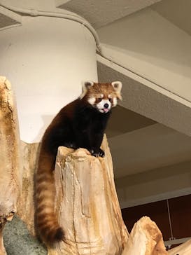 ネオパークオキナワに投稿された画像（2022/1/13）