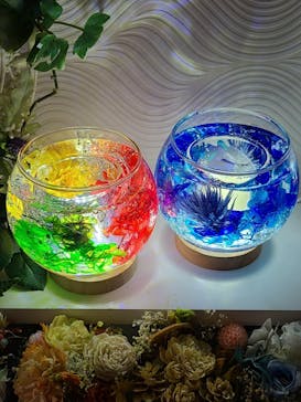 ずこうしつ〜sugamo〜に投稿された画像（2022/1/13）