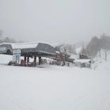 野麦峠スキー場に投稿された画像（2022/1/13）