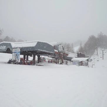 野麦峠スキー場に投稿された画像（2022/1/13）