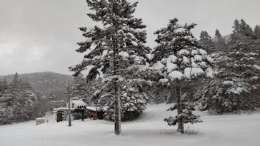 野麦峠スキー場に投稿された画像（2022/1/13）