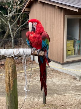 阿蘇カドリー・ドミニオンに投稿された画像（2022/1/13）