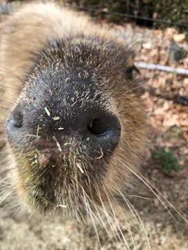 阿蘇カドリー・ドミニオンに投稿された画像（2022/1/13）