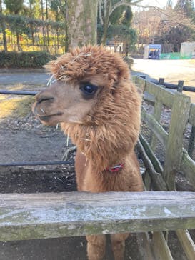 阿蘇カドリー・ドミニオンに投稿された画像（2022/1/13）