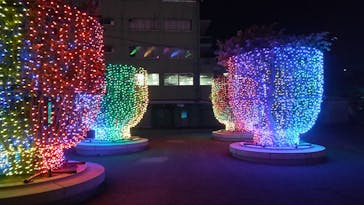 東京メガイルミに投稿された画像（2022/1/13）