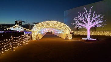 東京メガイルミに投稿された画像（2022/1/13）