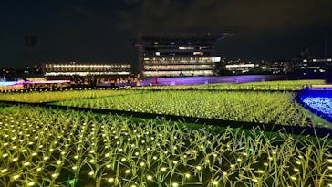 東京メガイルミに投稿された画像（2022/1/13）