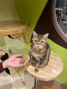 Moff animal world MARK IS みなとみらい店に投稿された画像（2022/1/13）