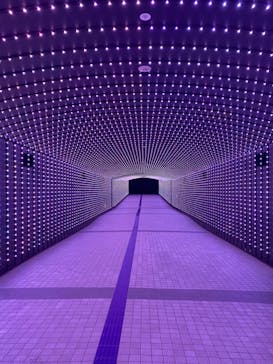 東京メガイルミに投稿された画像（2022/1/13）