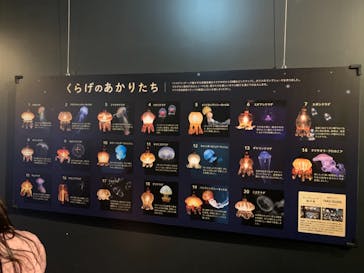 京都水族館に投稿された画像（2022/1/13）