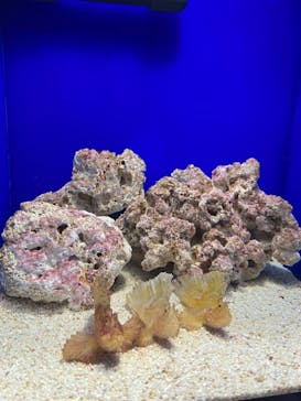 サンシャイン水族館に投稿された画像（2022/1/13）