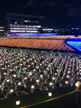 東京メガイルミに投稿された画像（2022/1/13）