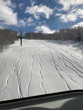 白樺高原国際スキー場に投稿された画像（2022/1/14）