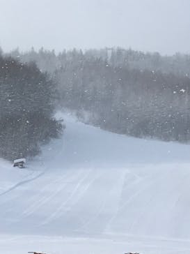 しらかば2in1スキー場に投稿された画像（2022/1/14）